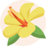 Hawaii grants